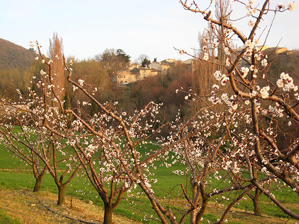 Cliousclat - Village de charme