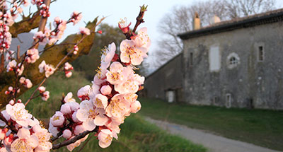 Cliousclat - Village de charme